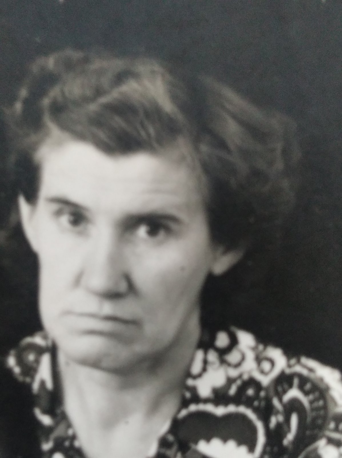 Полонская ВВ