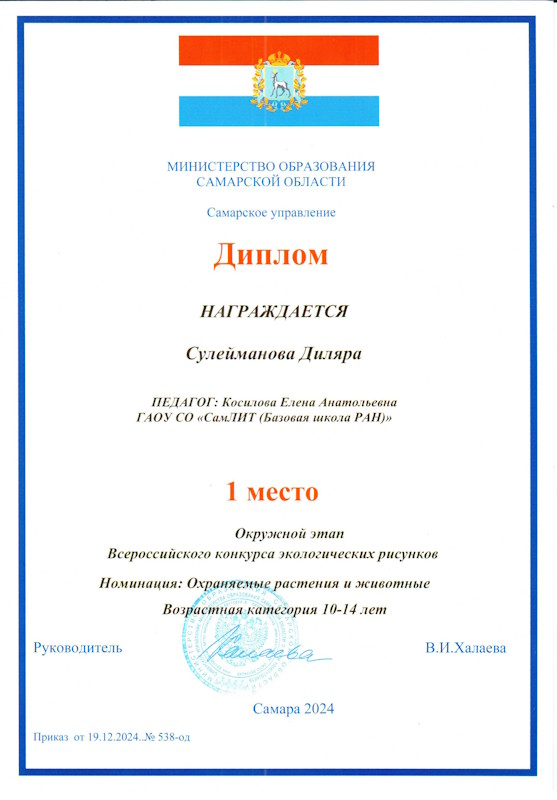 news eco risunki 2801 13