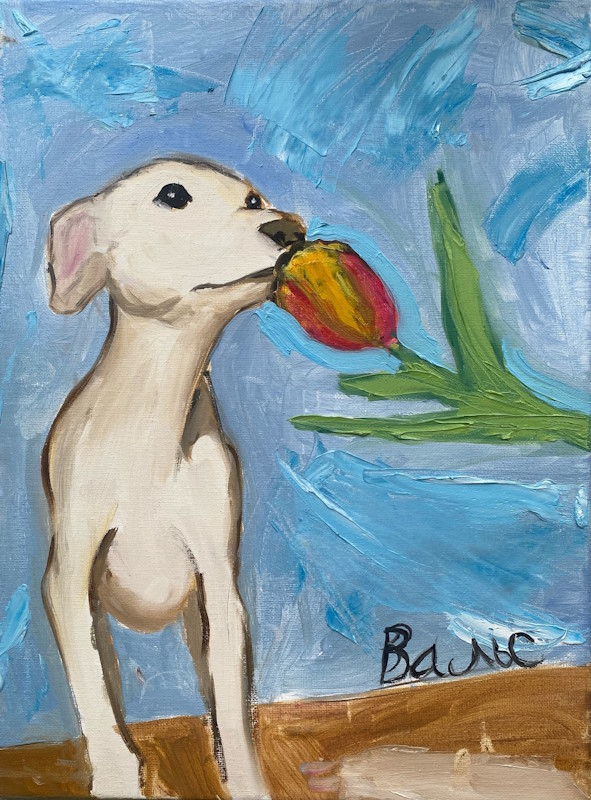 news eco risunki 2801 4