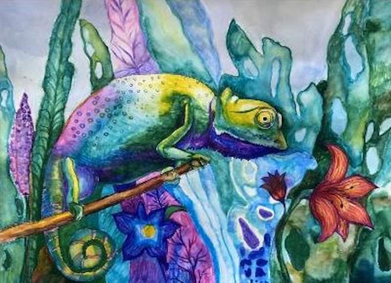 news eco risunki 2801 5