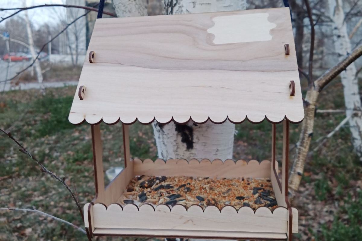 кормушка.jpg